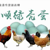 科教片拍摄